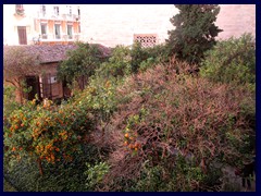 La Lonja de la Seda 39  - orange trees in the courtyard